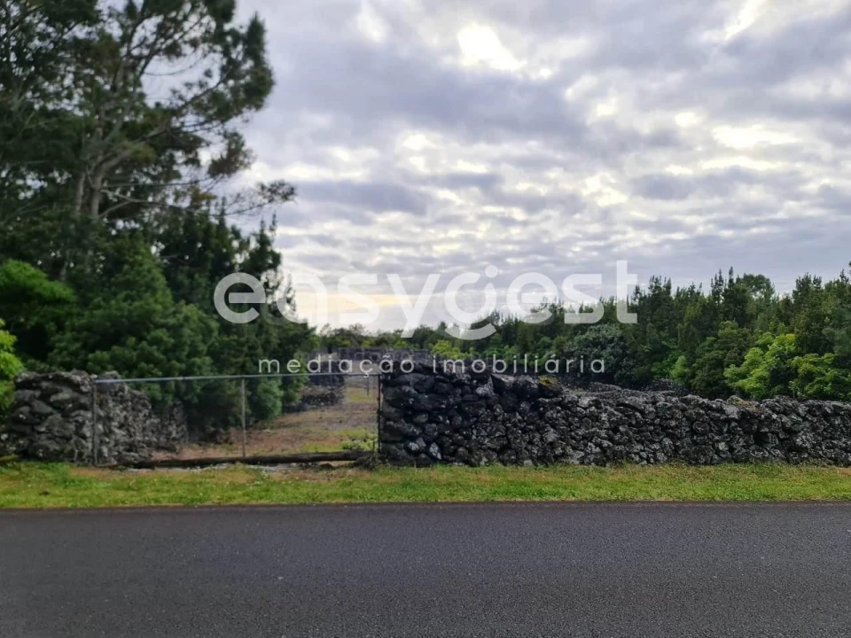 Terreno Agricola ou Rústico para Venda em Candelaria Foto 3