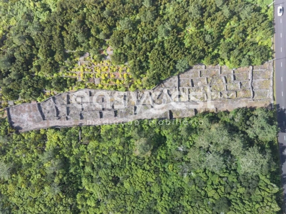 Terreno Agricola ou Rústico para Venda em Candelaria Foto 4