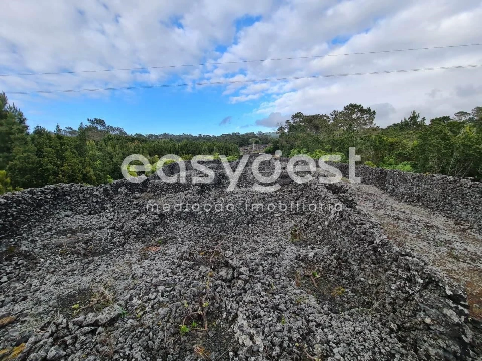 Terreno Agricola ou Rústico para Venda em Candelaria Foto 5