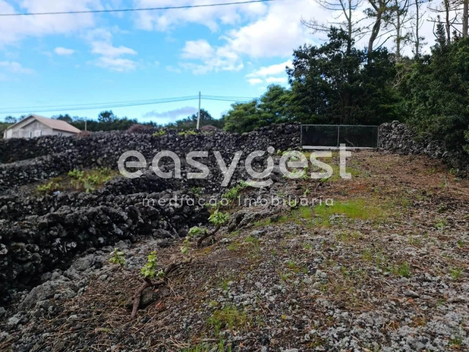 Terreno Agricola ou Rústico para Venda em Candelaria Foto 8