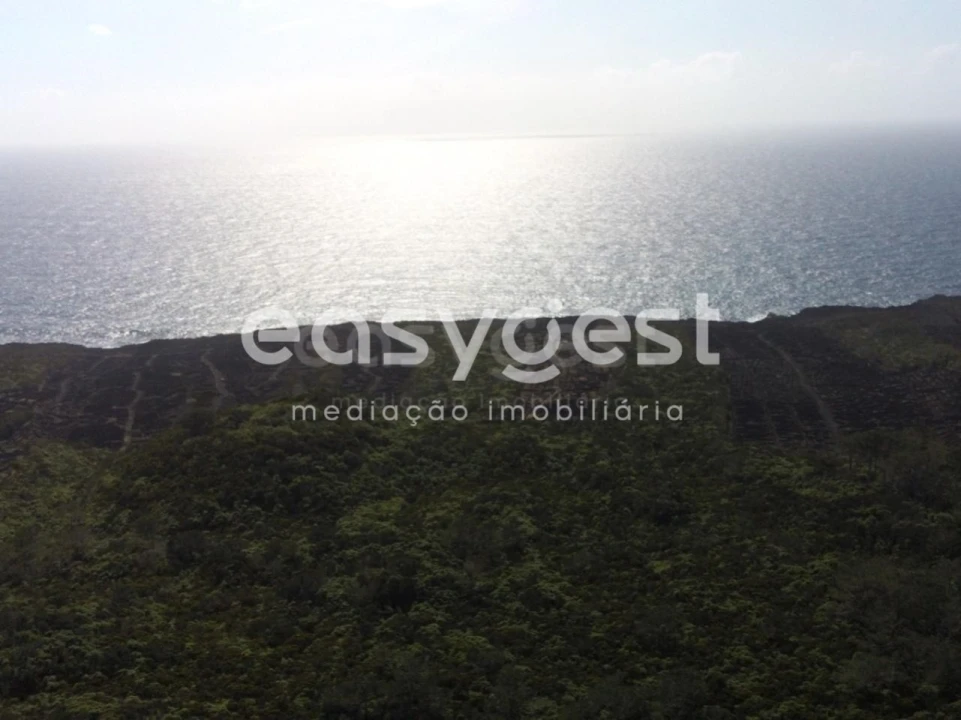 Terreno Agricola ou Rústico para Venda em Candelaria Foto 11