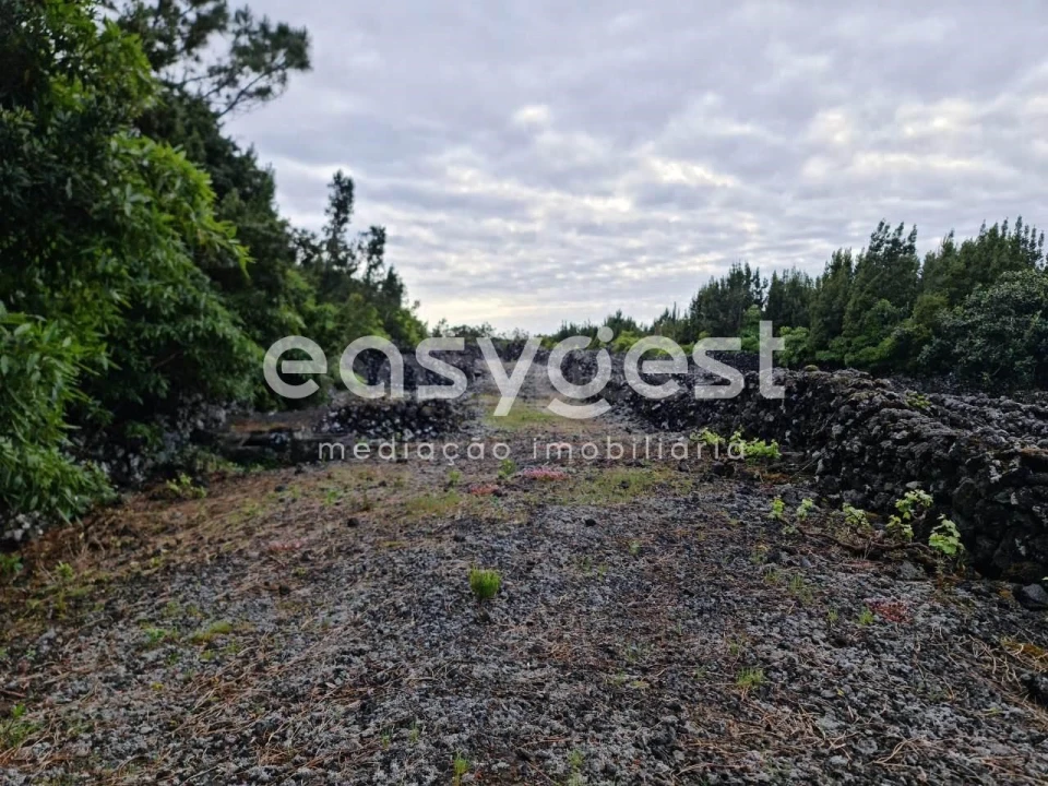 Terreno Agricola ou Rústico para Venda em Candelaria Foto 12