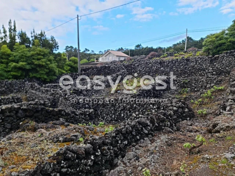 Terreno Agricola ou Rústico para Venda em Candelaria Foto 14