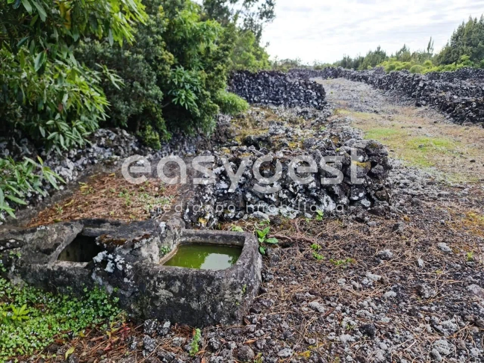 Terreno Agricola ou Rústico para Venda em Candelaria Foto 15