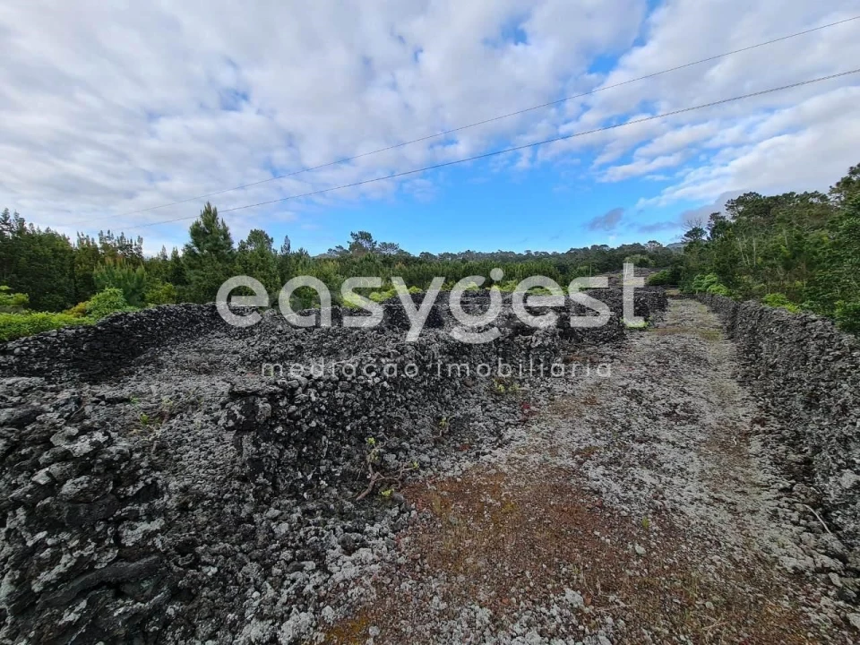 Terreno Agricola ou Rústico para Venda em Candelaria Foto 16
