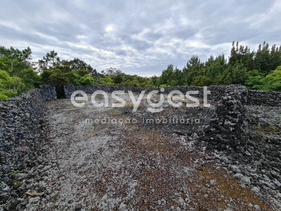 Terreno Agricola ou Rústico para Venda em Candelaria Foto 17