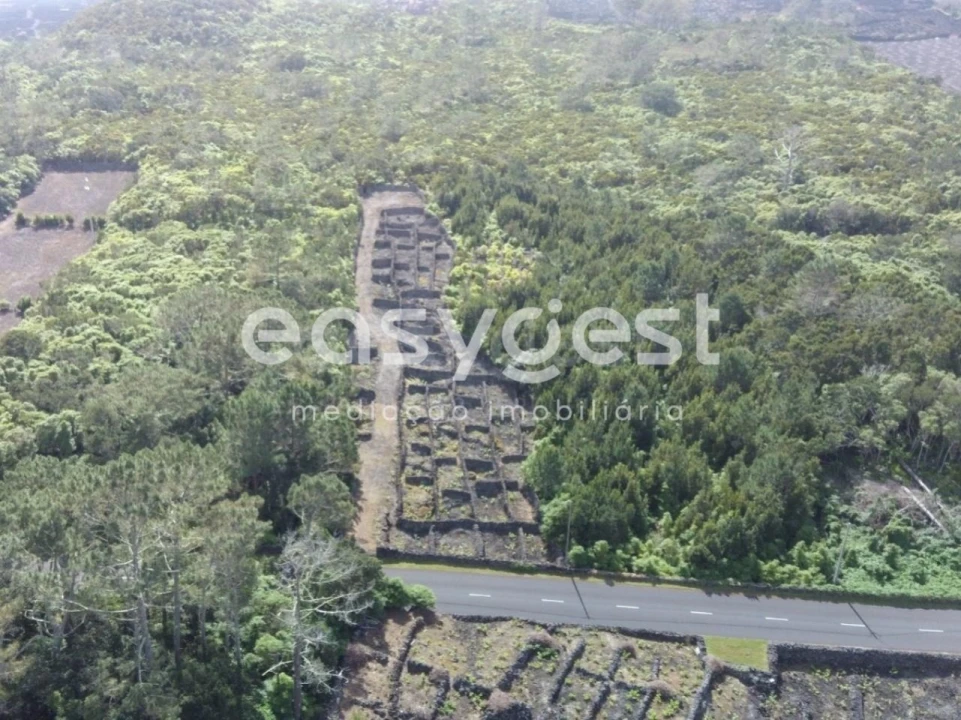 Terreno Agricola ou Rústico para Venda em Candelaria Foto 19