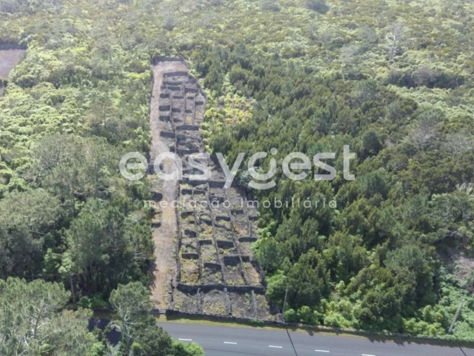 Terreno Agricola ou Rústico para Venda em Candelaria Foto 2