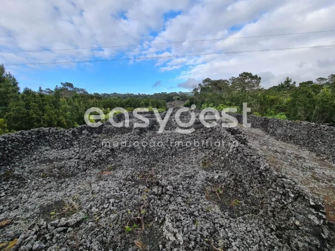 Terreno Agricola ou Rústico para Venda em Candelaria Foto 5