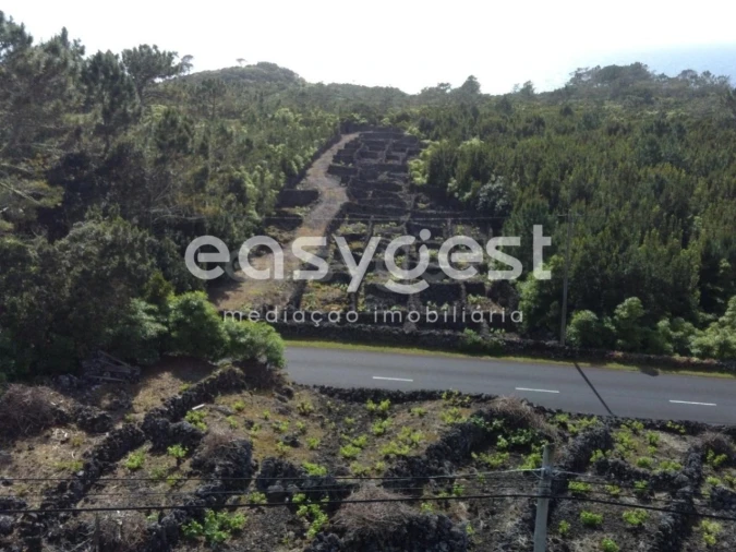 Terreno Agricola ou Rústico para Venda em Candelaria Foto 6