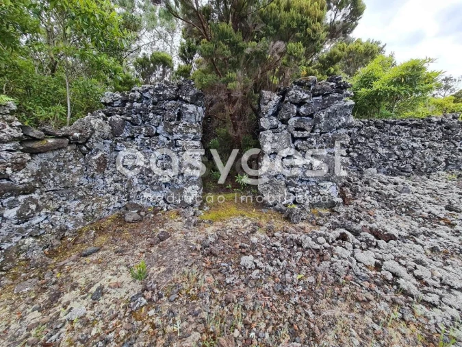 Terreno Agricola ou Rústico para Venda em Candelaria Foto 7