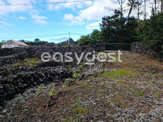 Terreno Agricola ou Rústico para Venda em Candelaria Foto 8