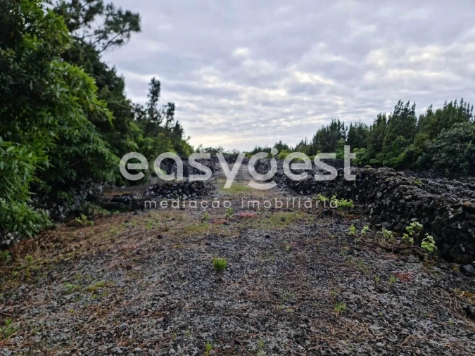 Terreno Agricola ou Rústico para Venda em Candelaria Foto 12