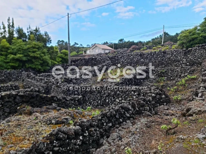 Terreno Agricola ou Rústico para Venda em Candelaria Foto 14