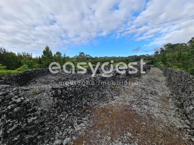 Terreno Agricola ou Rústico para Venda em Candelaria Foto 16