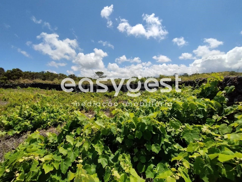 Terreno para Venda em Criação Velha Foto 6