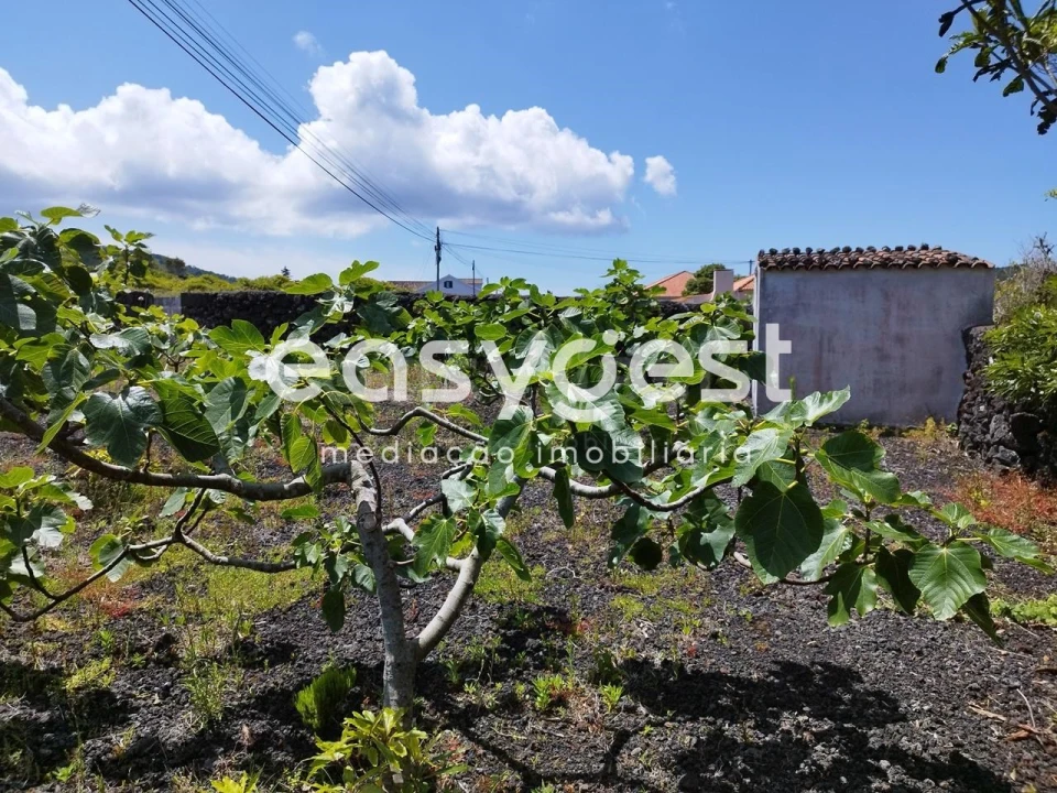 Terreno para Venda em Criação Velha Foto 9