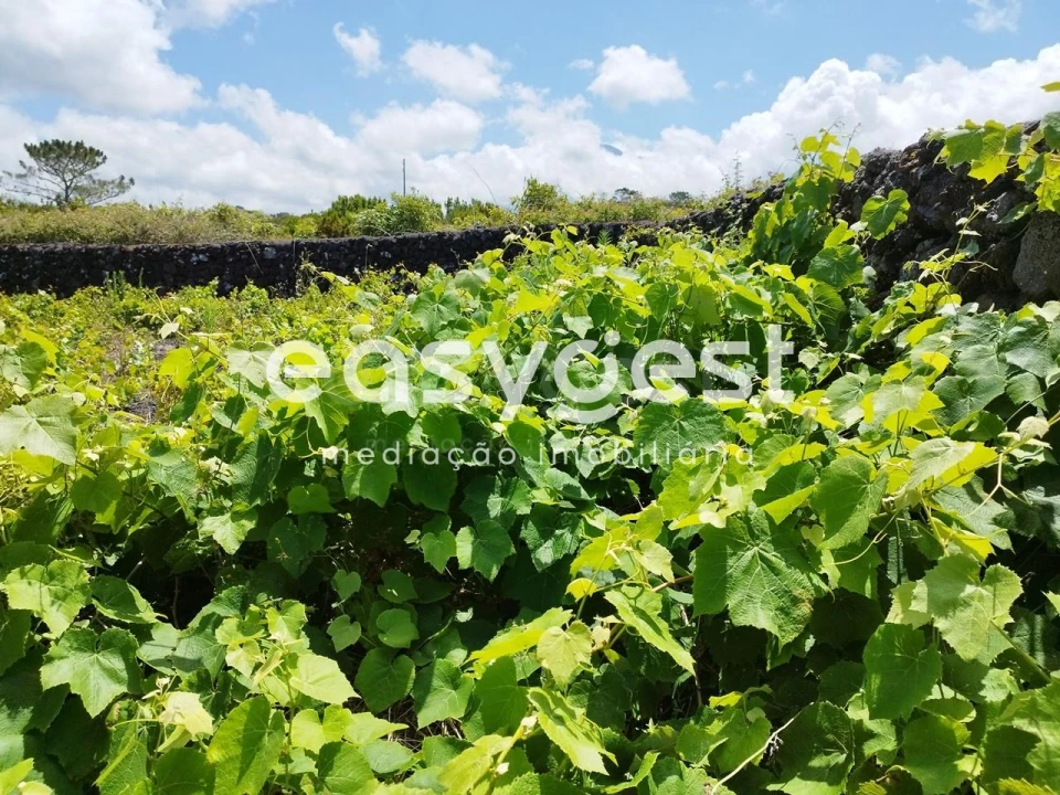 Terreno para Venda em Criação Velha Foto 10