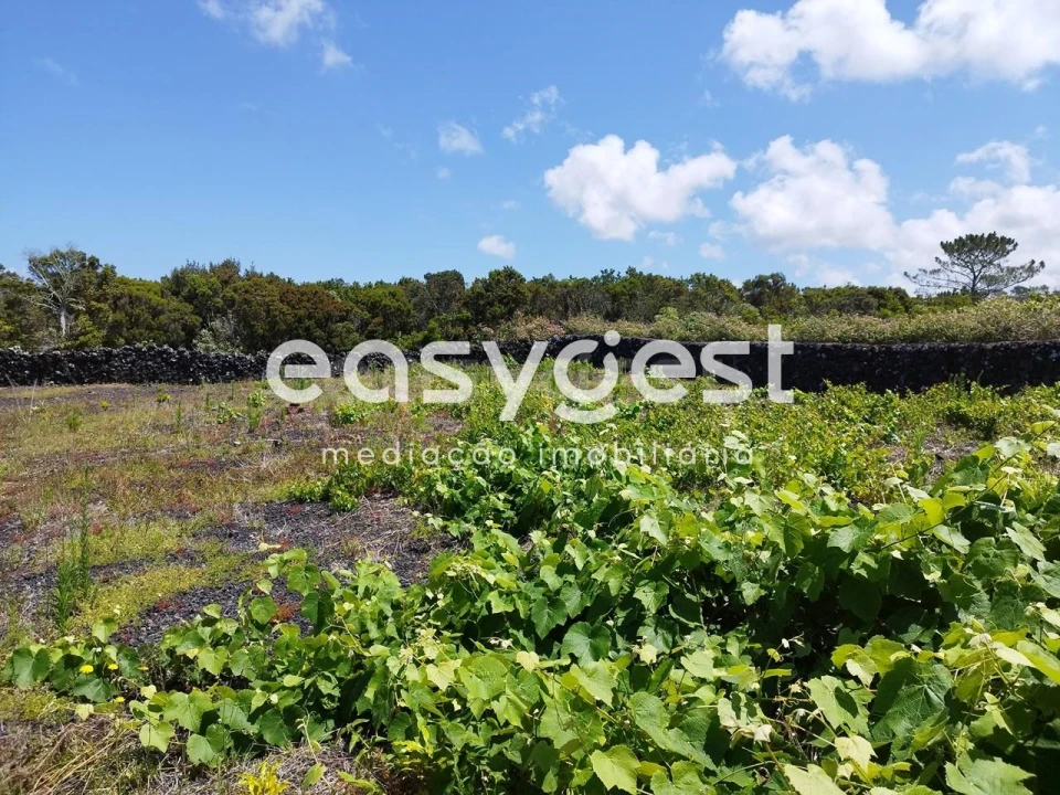 Terreno para Venda em Criação Velha Foto 17