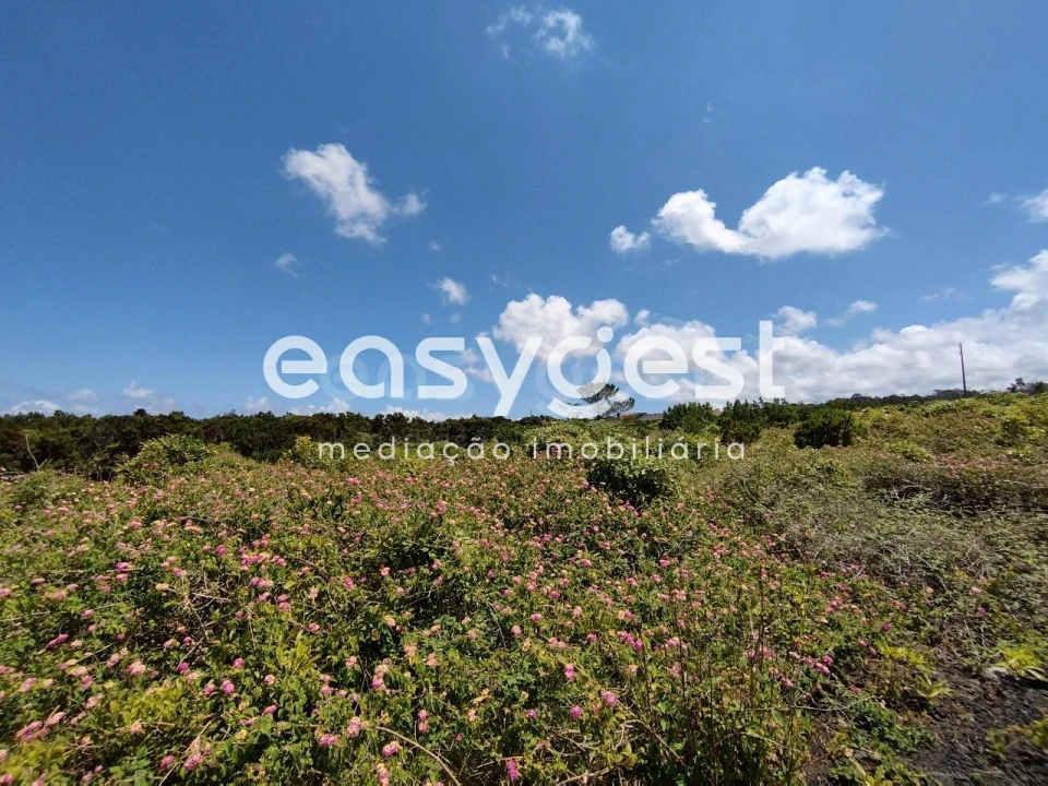 Terreno para Venda em Criação Velha Foto 18