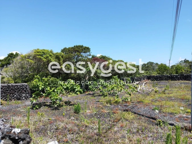Terreno para Venda em Criação Velha Foto 2