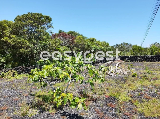 Terreno para Venda em Criação Velha Foto 3