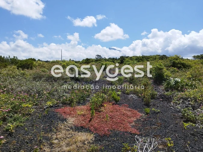 Terreno para Venda em Criação Velha Foto 15