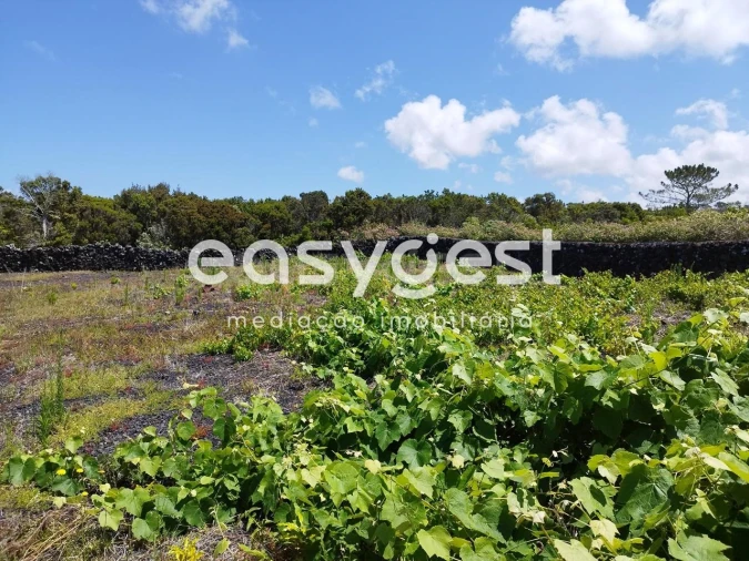Terreno para Venda em Criação Velha Foto 17