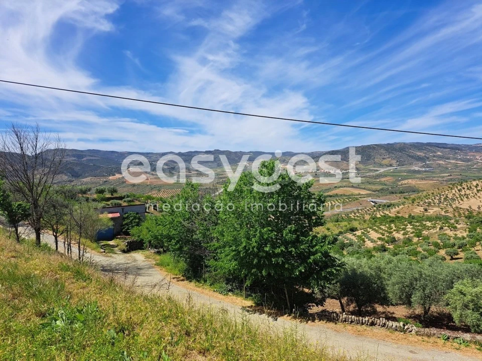 Moradia T1 para Venda em Adeganha e Cardanha Foto 5