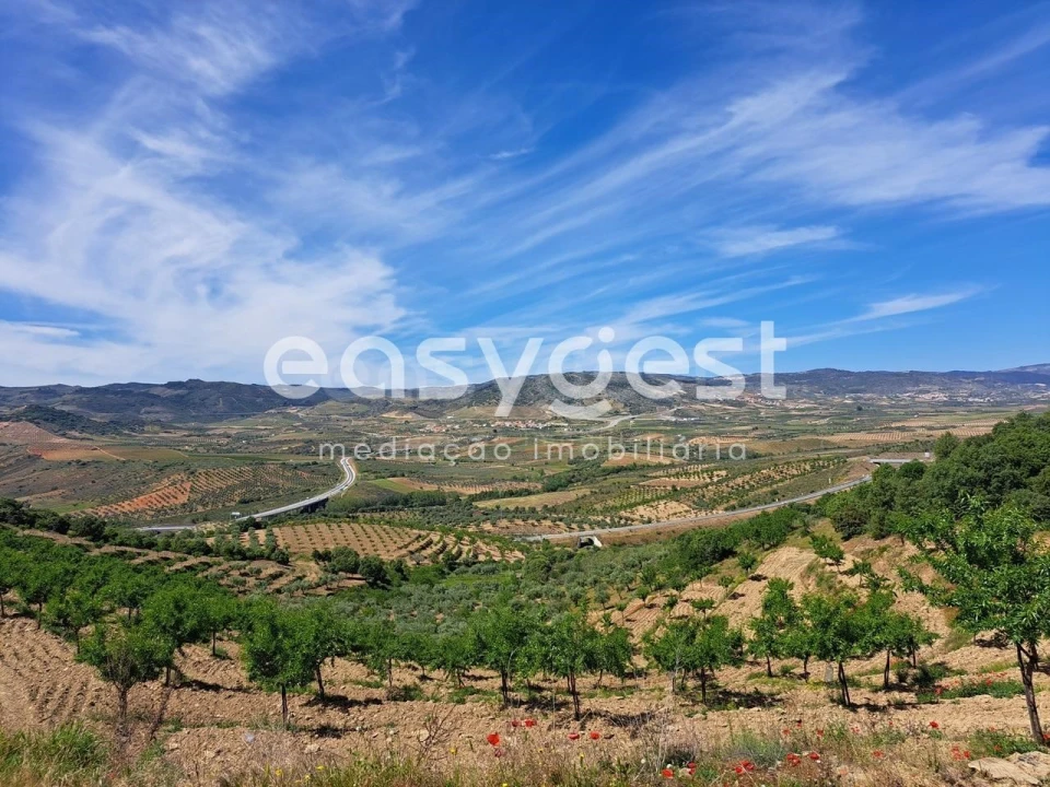 Moradia T1 para Venda em Adeganha e Cardanha Foto 12