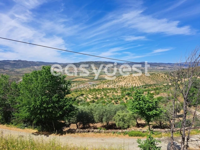 Moradia T1 para Venda em Adeganha e Cardanha Foto 4