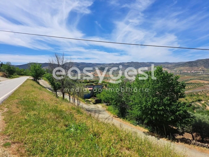 Moradia T1 para Venda em Adeganha e Cardanha Foto 6