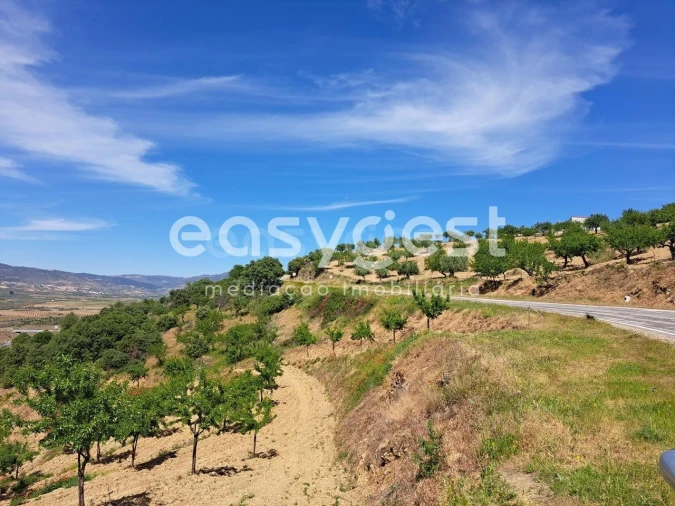 Moradia T1 para Venda em Adeganha e Cardanha Foto 8