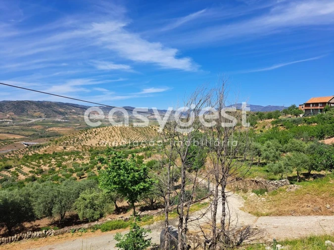 Moradia T3 para Venda em Adeganha e Cardanha Foto 7