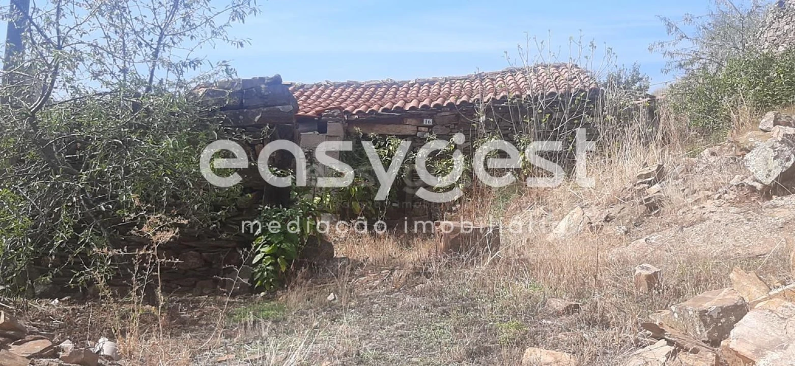 Moradia T1 para Venda em Carviçais Foto 2