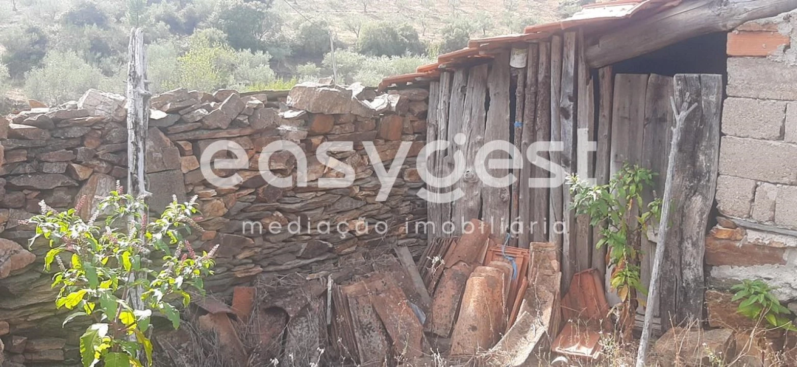 Moradia T1 para Venda em Carviçais Foto 3