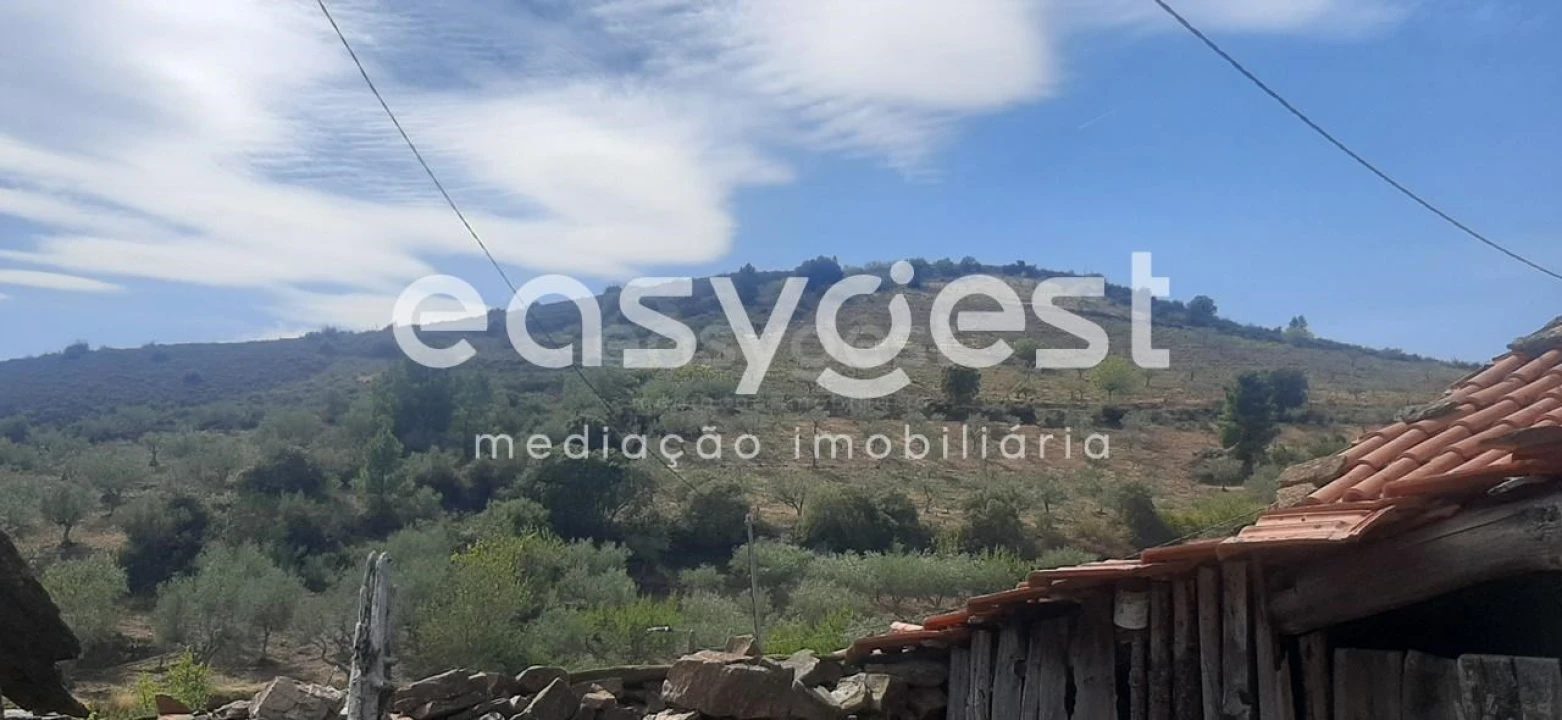 Moradia T1 para Venda em Carviçais Foto 4