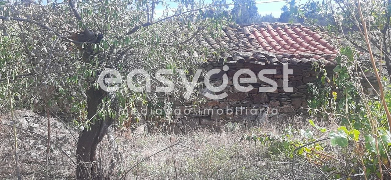 Moradia T1 para Venda em Carviçais Foto 6