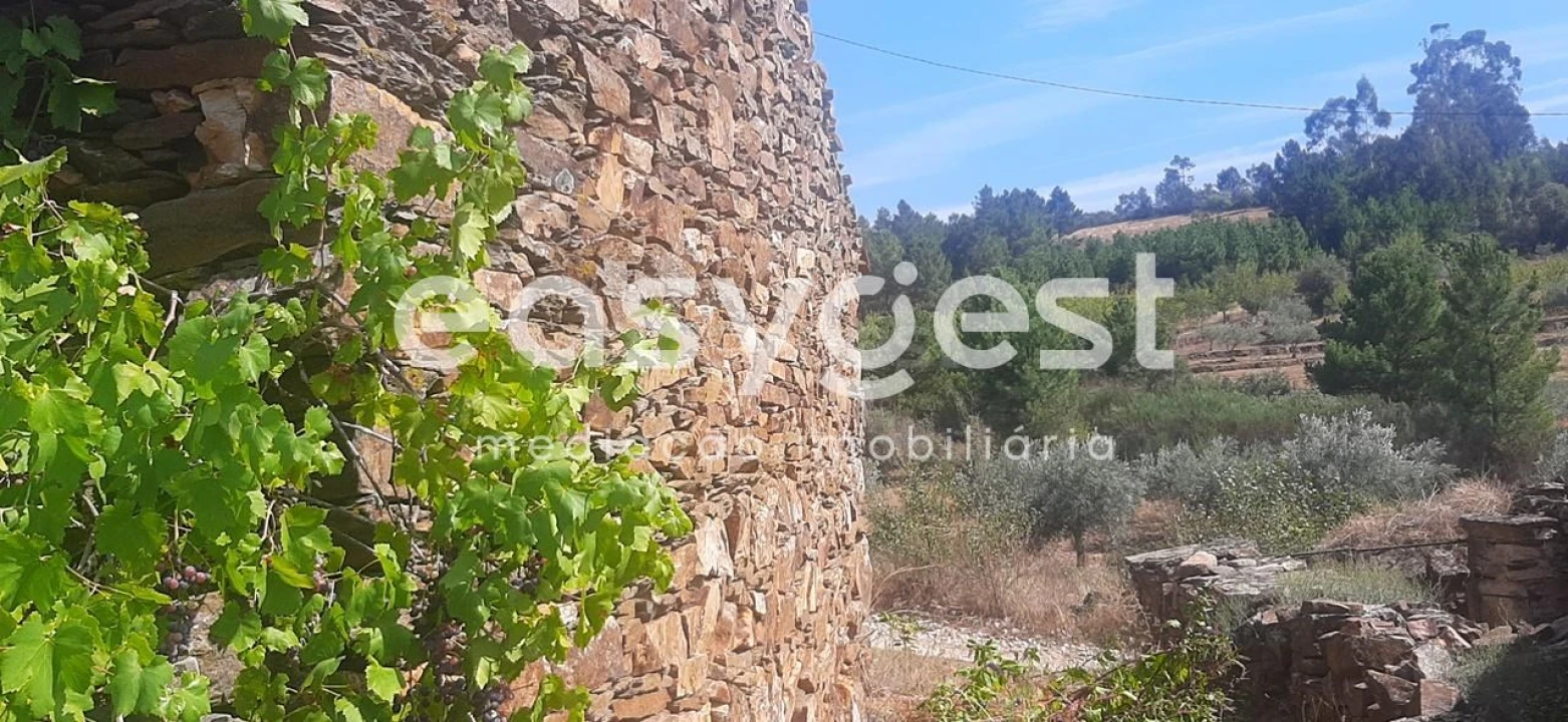 Moradia T1 para Venda em Carviçais Foto 7