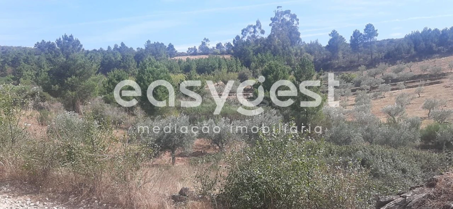 Moradia T1 para Venda em Carviçais Foto 9