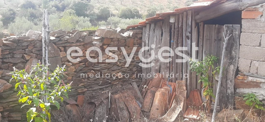 Moradia T1 para Venda em Carviçais Foto 3