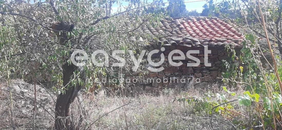 Moradia T1 para Venda em Carviçais Foto 6