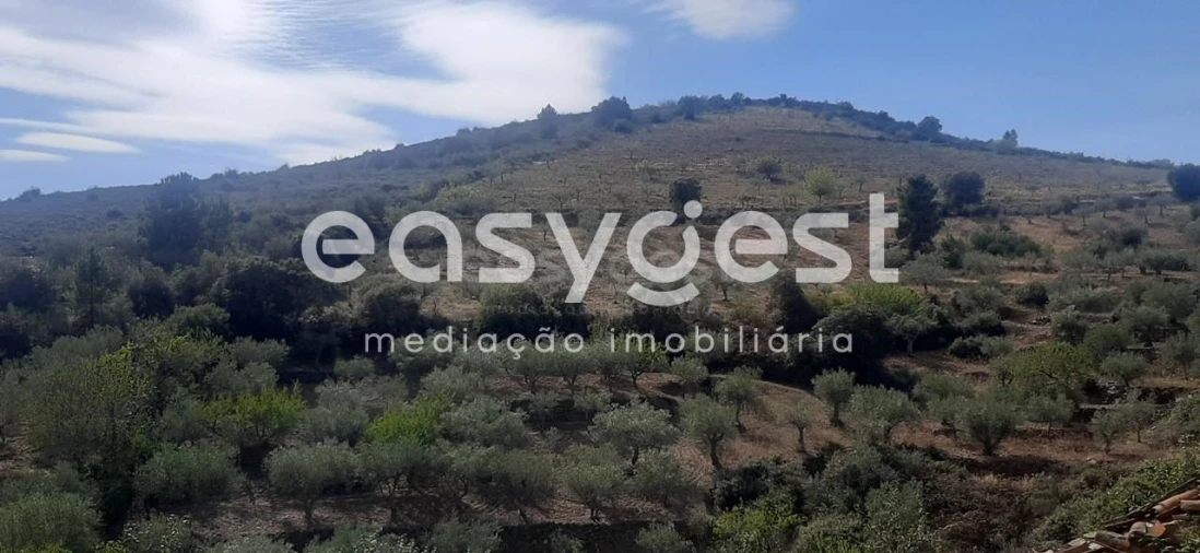 Moradia T1 para Venda em Carviçais Foto 10