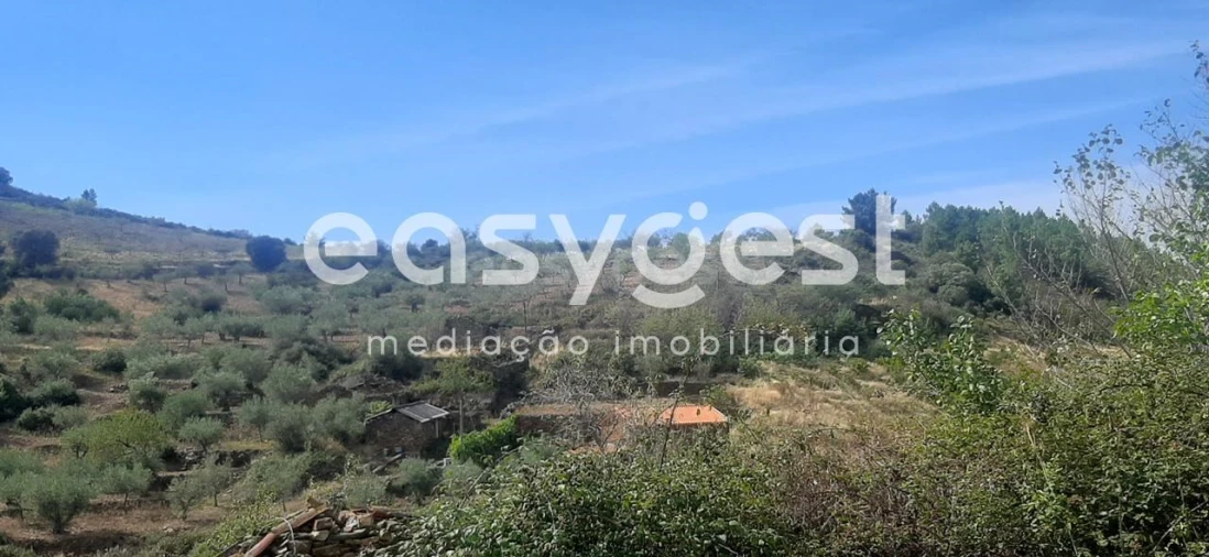 Moradia T1 para Venda em Carviçais Foto 11