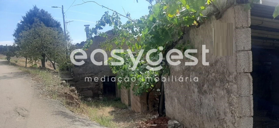 Moradia T2 para Venda em Carviçais Foto 3