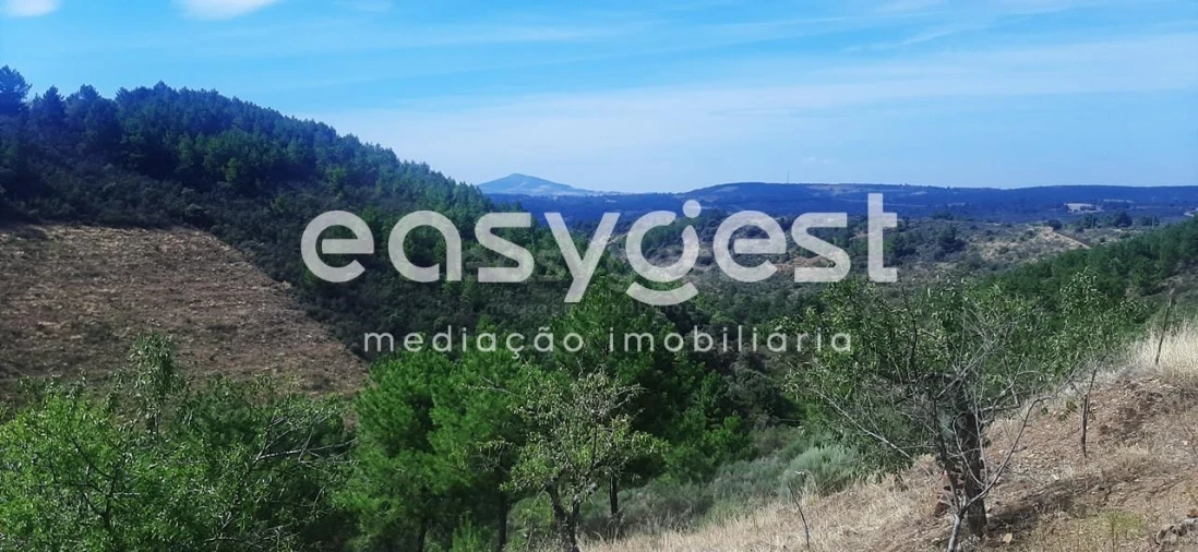 Moradia T2 para Venda em Carviçais Foto 16