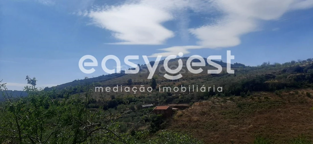 Moradia T2 para Venda em Carviçais Foto 17