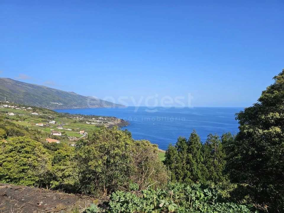 Moradia T2 para Venda em Ribeiras Foto 24