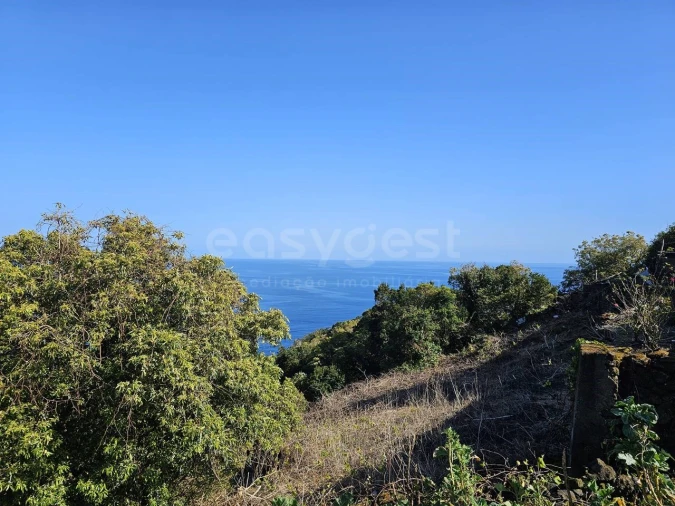 Moradia T2 para Venda em Ribeiras Foto 23