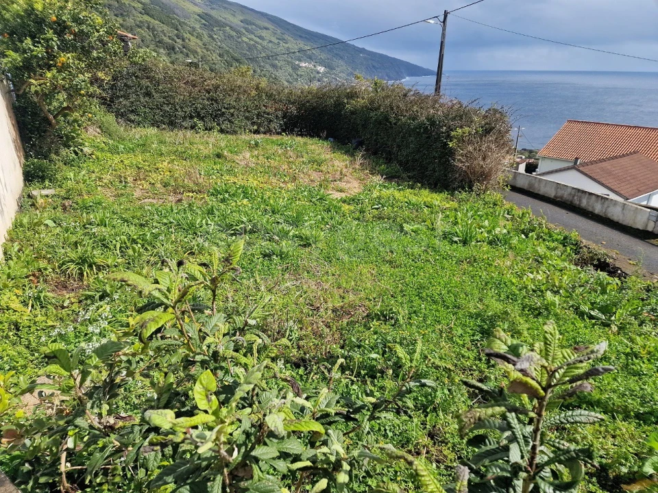 Moradia T3 para Venda em Ribeiras Foto 22